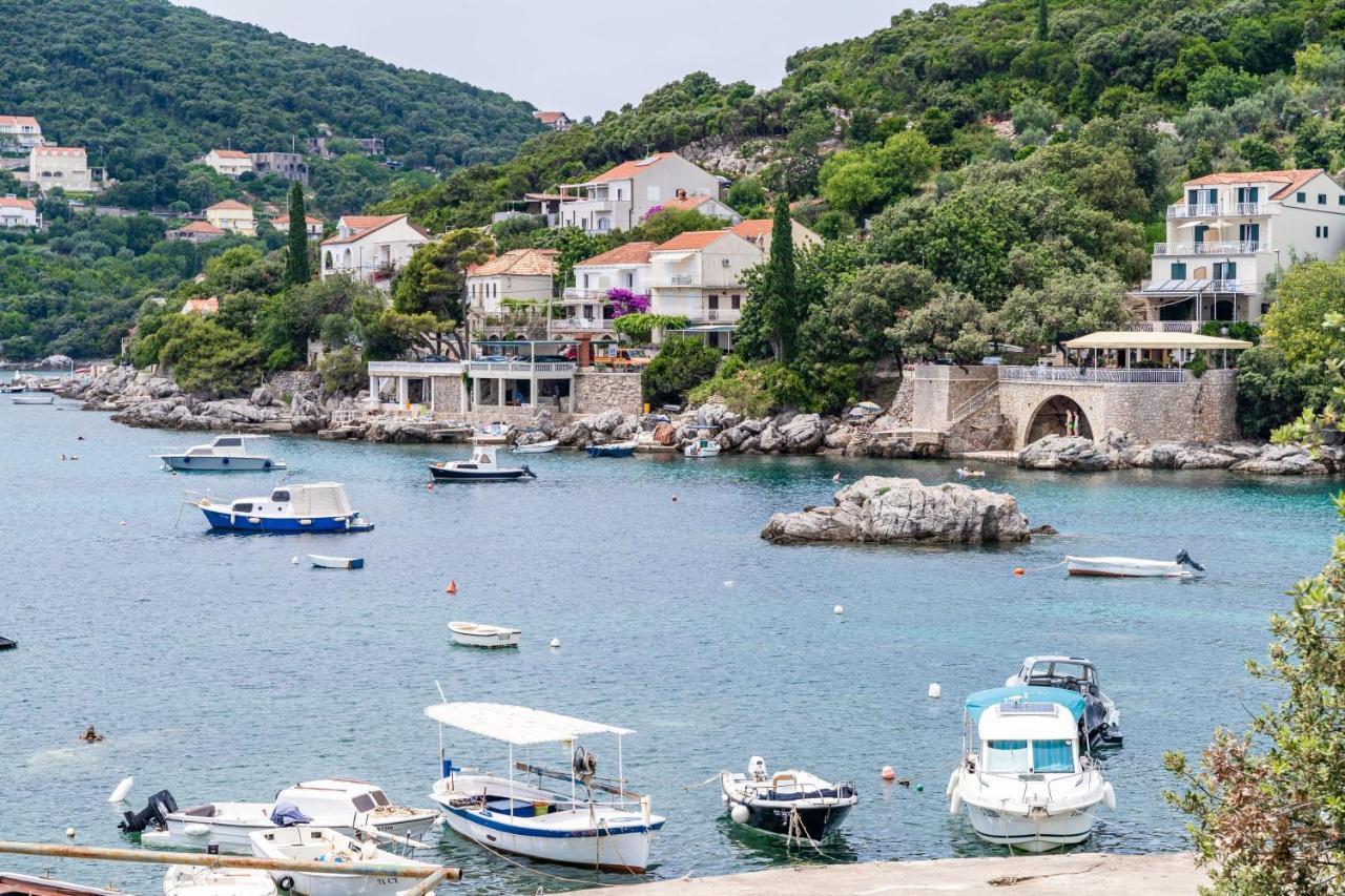 Hidden Gem Apartment Molunat Εξωτερικό φωτογραφία