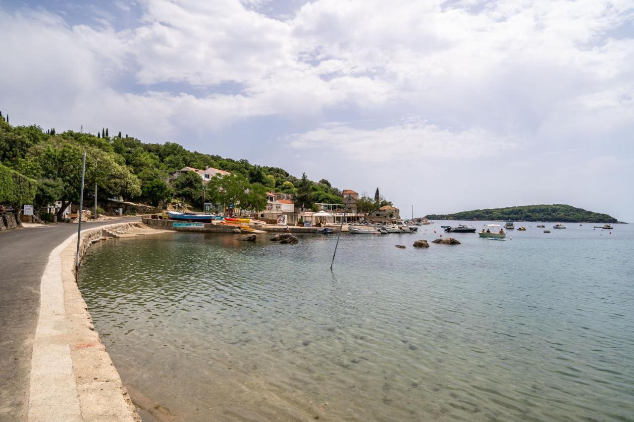 Hidden Gem Apartment Molunat Εξωτερικό φωτογραφία